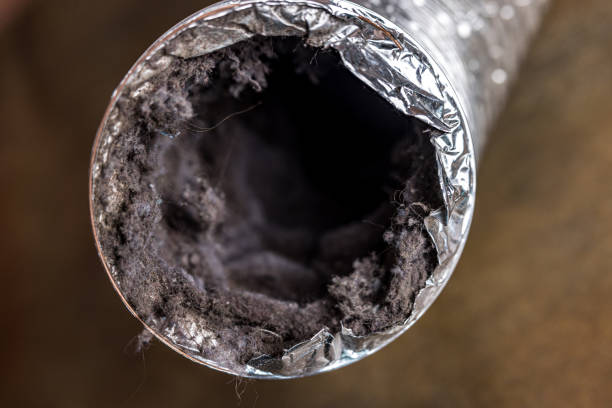 Best HVAC Duct Inspection Services  in Avondale, LA