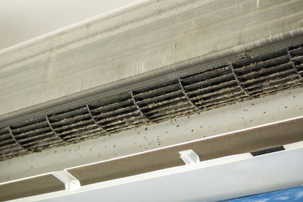 Best Local Air Duct Cleaning Services  in Avondale, LA